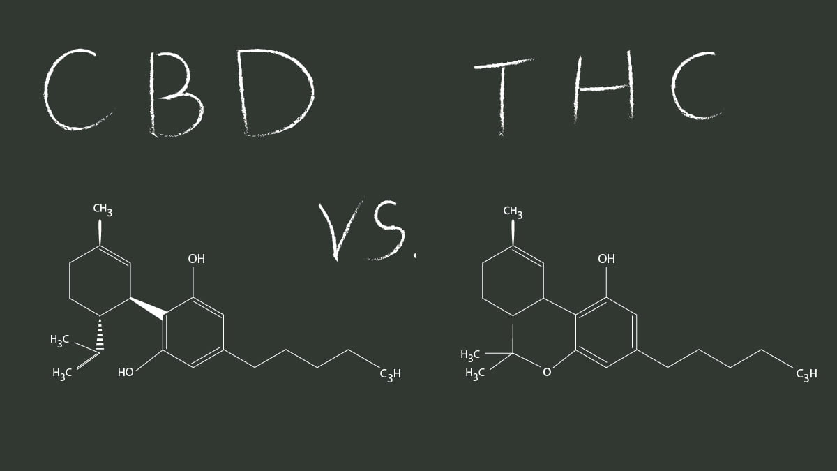 CBD and THC chemical structure written on a board