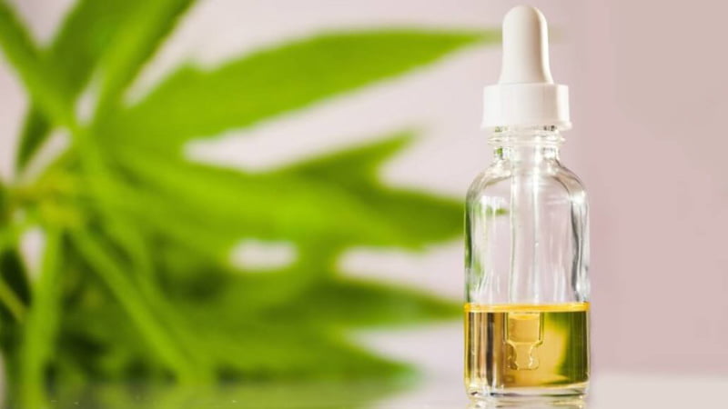 CBD oil bottle on a table next to hemp plant and leaves in the background