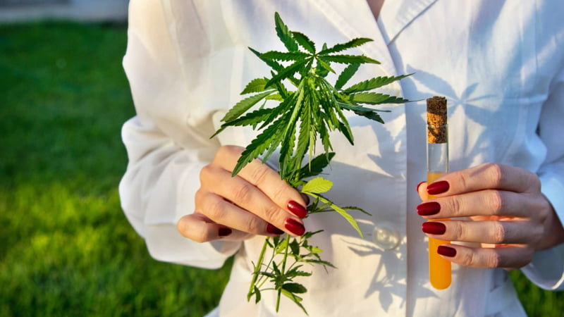 A doctor holding out CBD oil inside a glass jar on one hand and a hemp plant on the other hand
