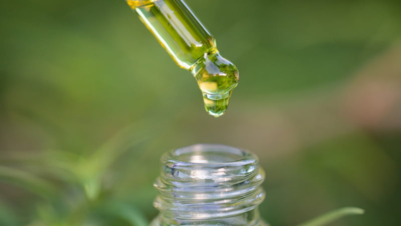 CBD oil from hemp dropping from a glass dropper in green hemp background