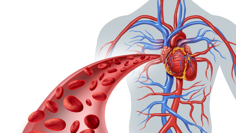 Blood flow into the heart and arteries system