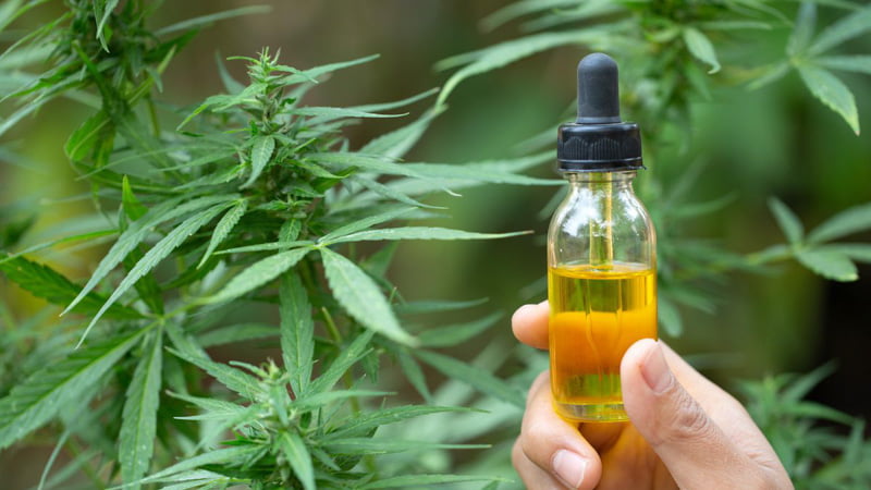 Hand of a person holding out a CBD oil bottle with hemp in the background