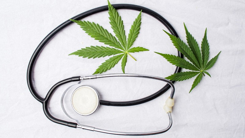 Hemp Flower and Stethoscope with White Background.