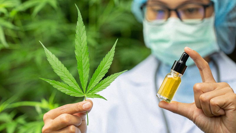 a scientist holding hemp flower and CDB oil on the other hand 