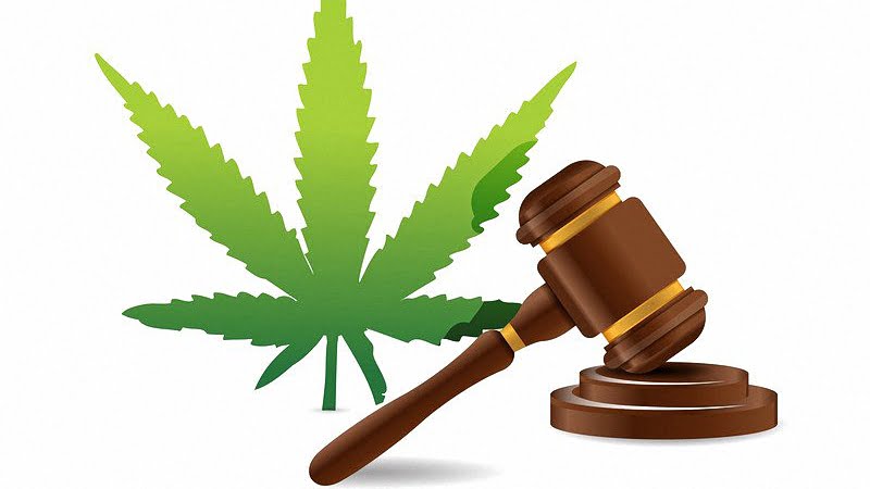 Illustration for Legalize Marijuana Gavel with Hemp Leaf White Background
